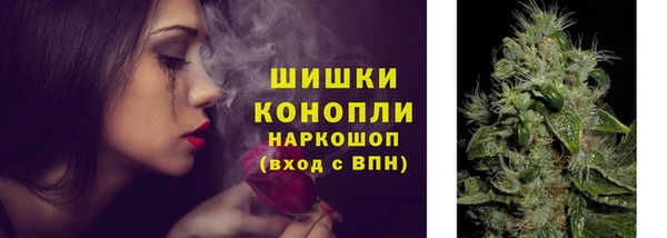 сатива Абаза
