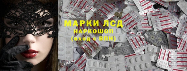 прущие грибы Алексеевка